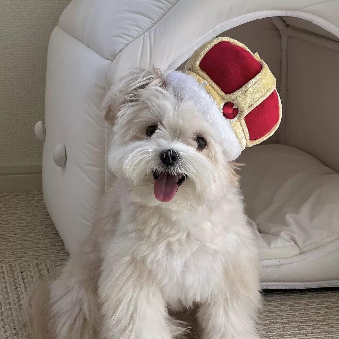 Posdma | Crinkle Sniffing Pad with Hidden Treat Areas for Interactive Pet Play