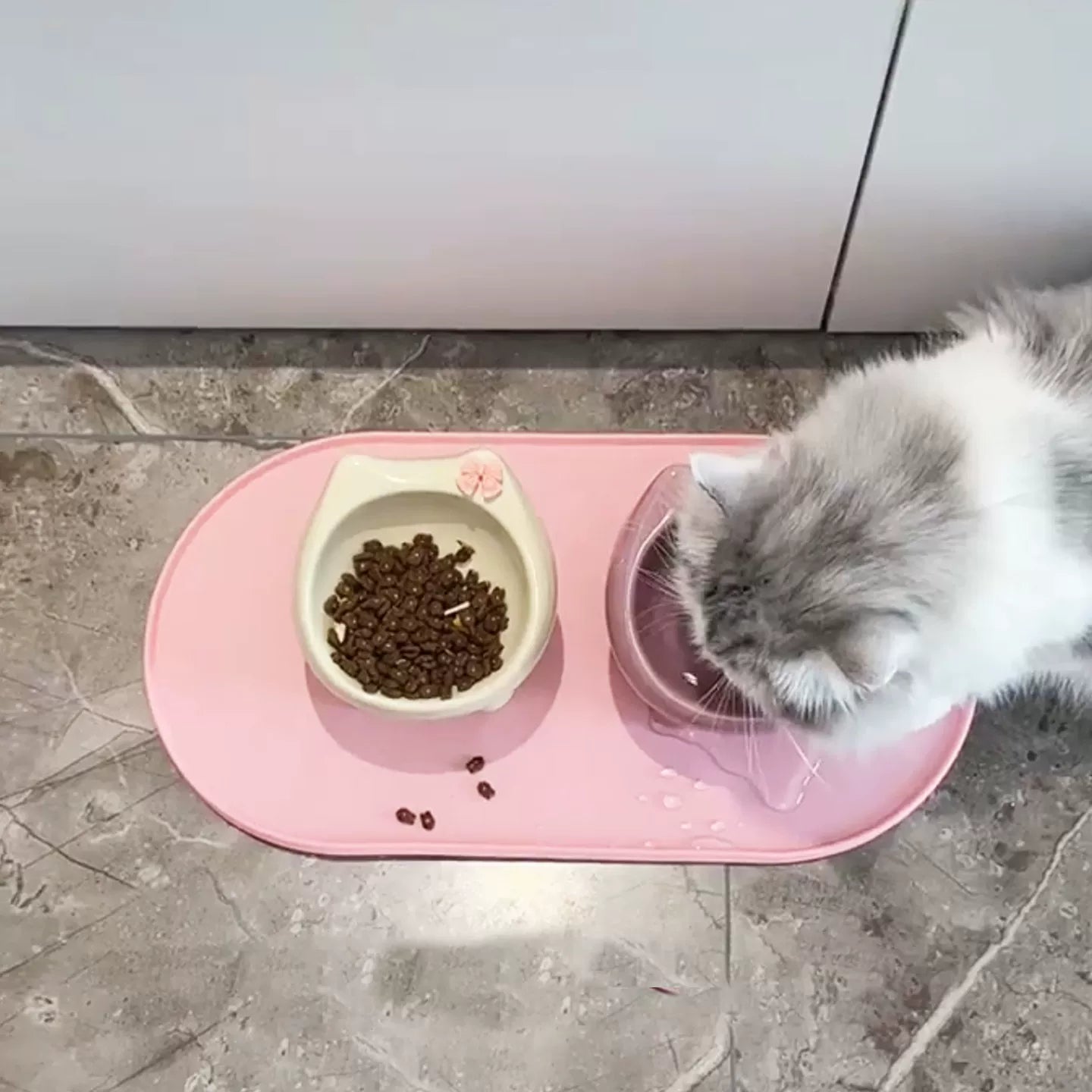 Posdma | Angled Ceramic Pet Bowl with Wide Opening for Daily Feeding