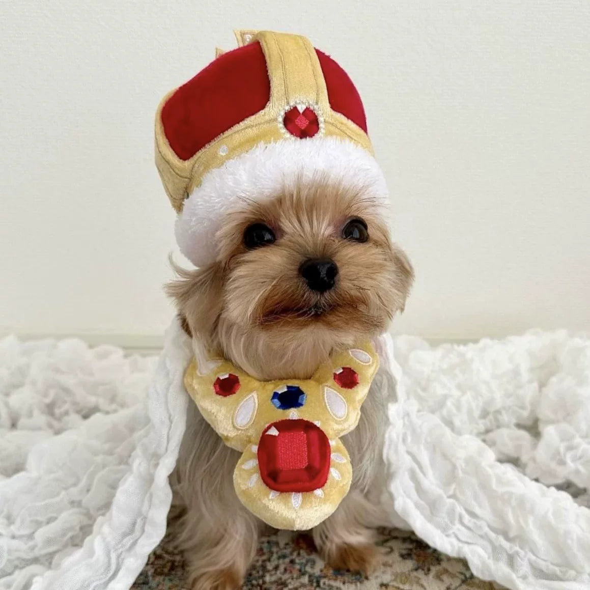 Posdma | Crinkle Sniffing Pad with Hidden Treat Areas for Interactive Pet Play