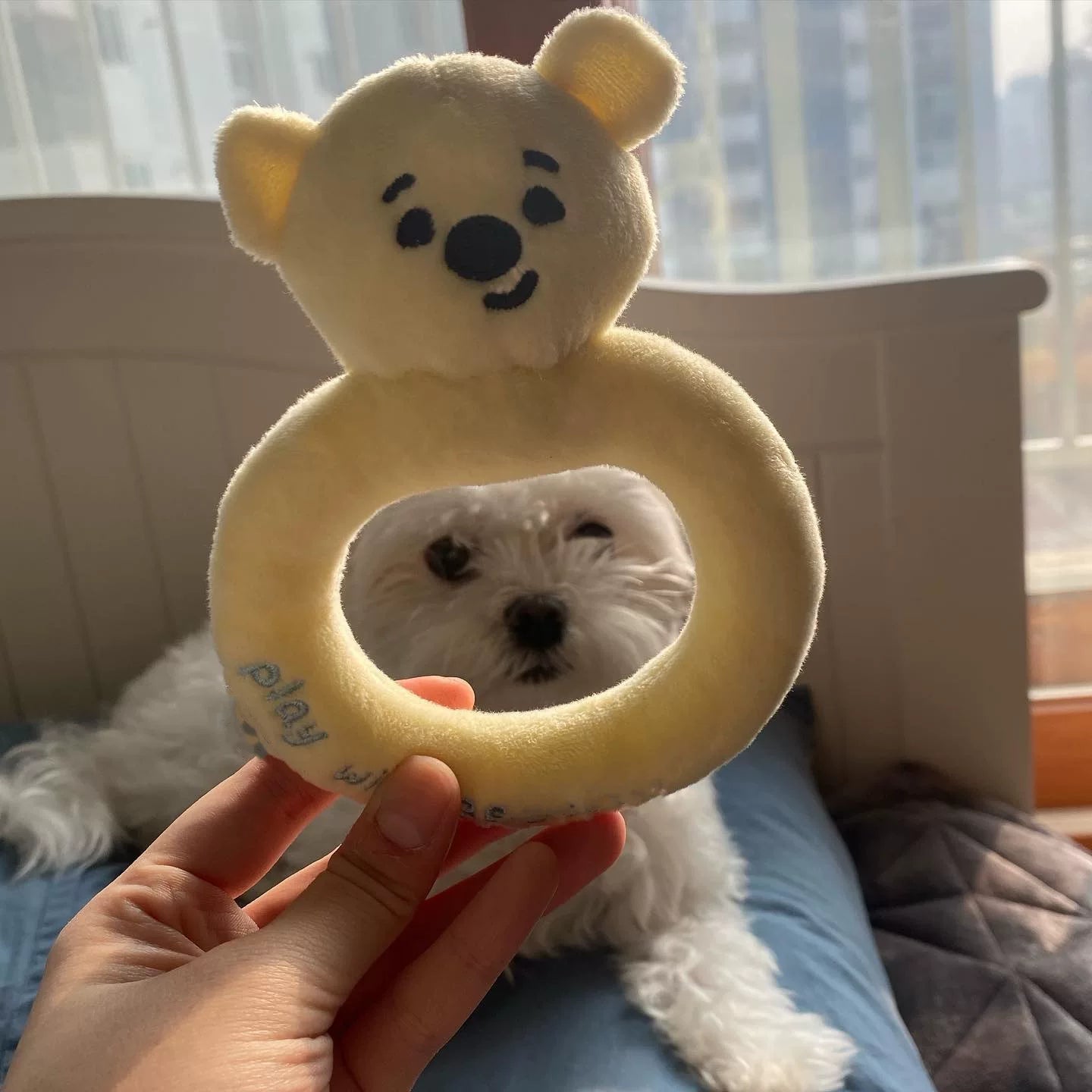 Posdma | Crinkle Sniffing Pad with Hidden Treat Areas for Interactive Pet Play