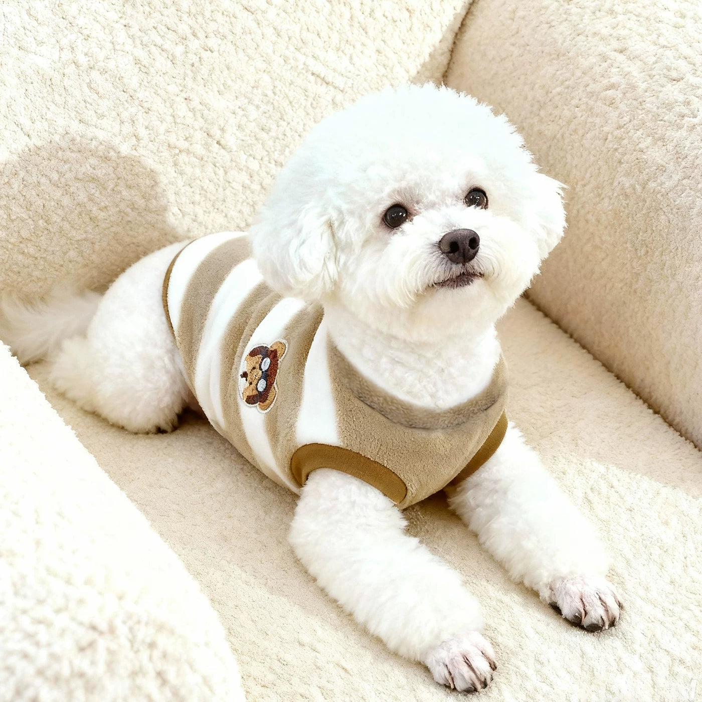 Posdma | 2025 Winter Dog Vest for Small Breeds, Everyday Cold-Season Wear for Puppies