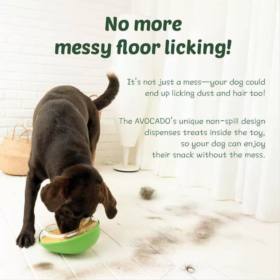 Posdma | Avocado-Shaped Interactive Pet Feeding Toy for Daily Play