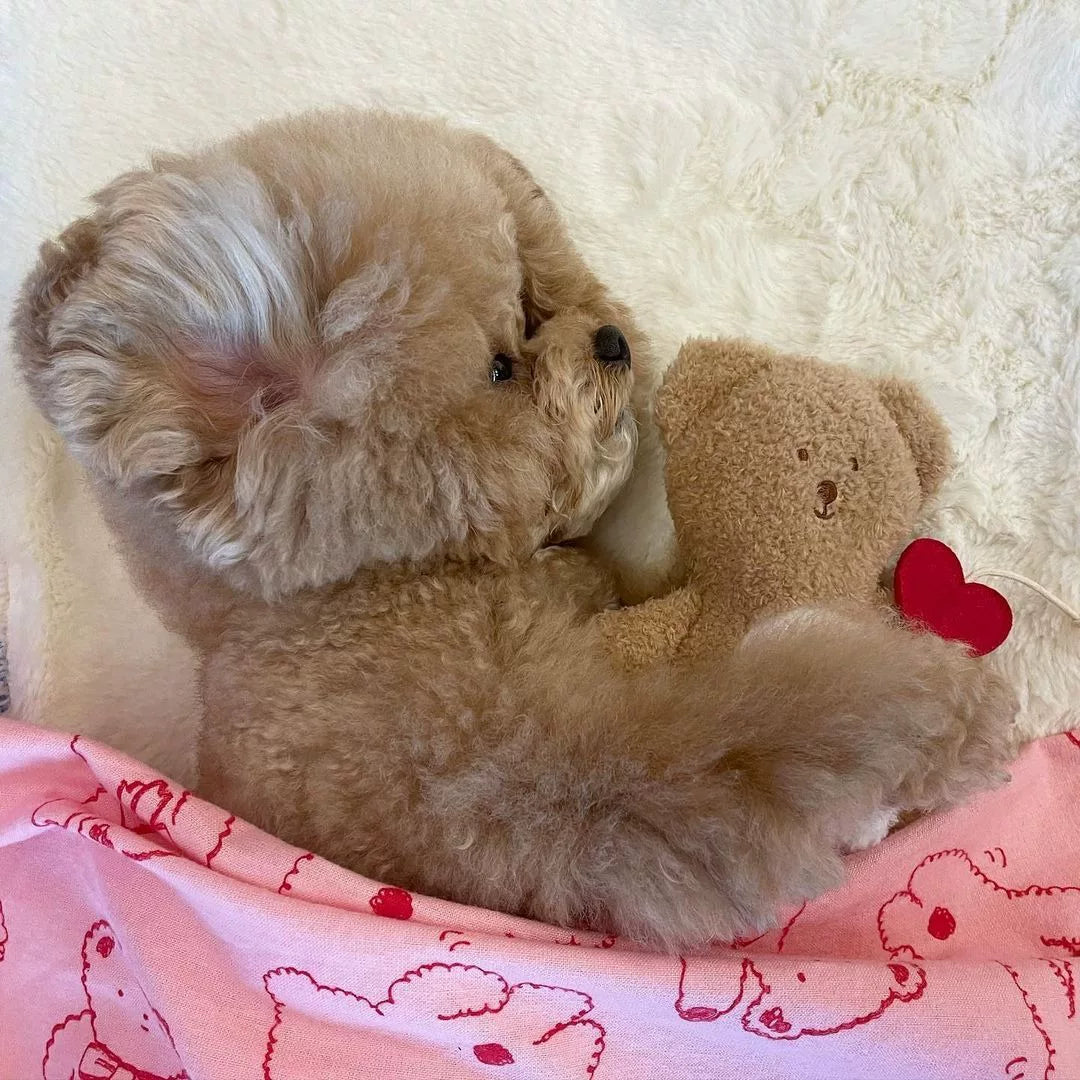 Posdma | Plush Sniffing Toy with Hidden Treat Pockets and Soft Sound for Pets