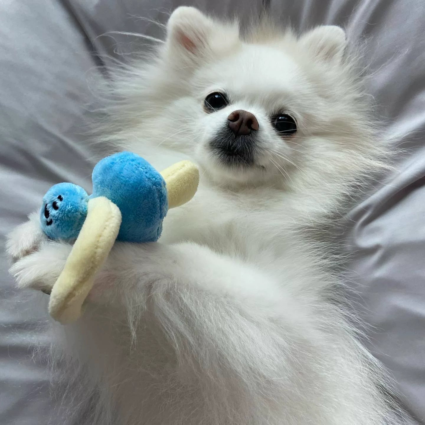 Posdma | Crinkle Sniffing Pad with Hidden Treat Areas for Interactive Pet Play