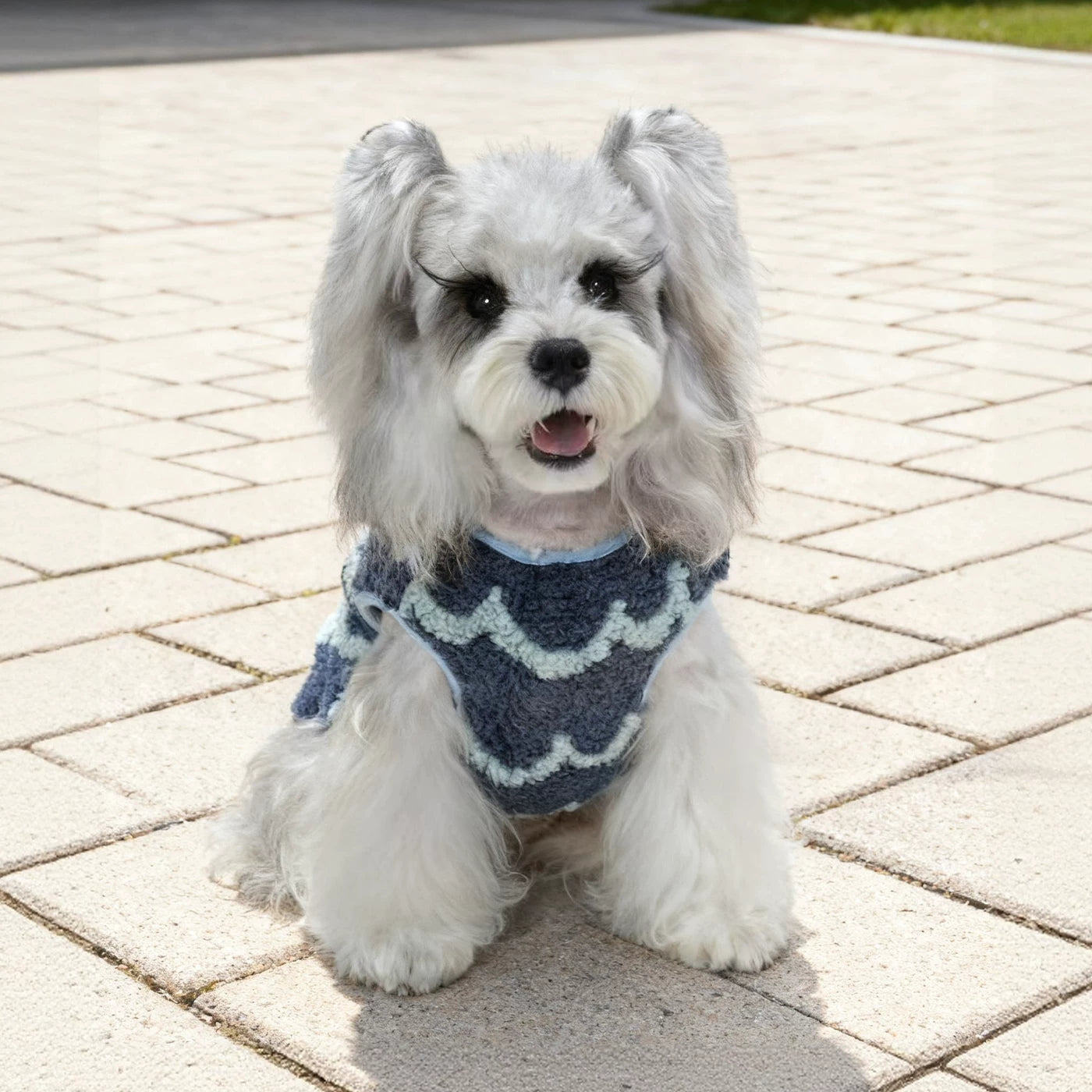 Pet Dog Clothes Autumn And Winter Bichon Frize Schnauzer Warm Vest Winter Small Dog Anti-Shedding Thickened Vest