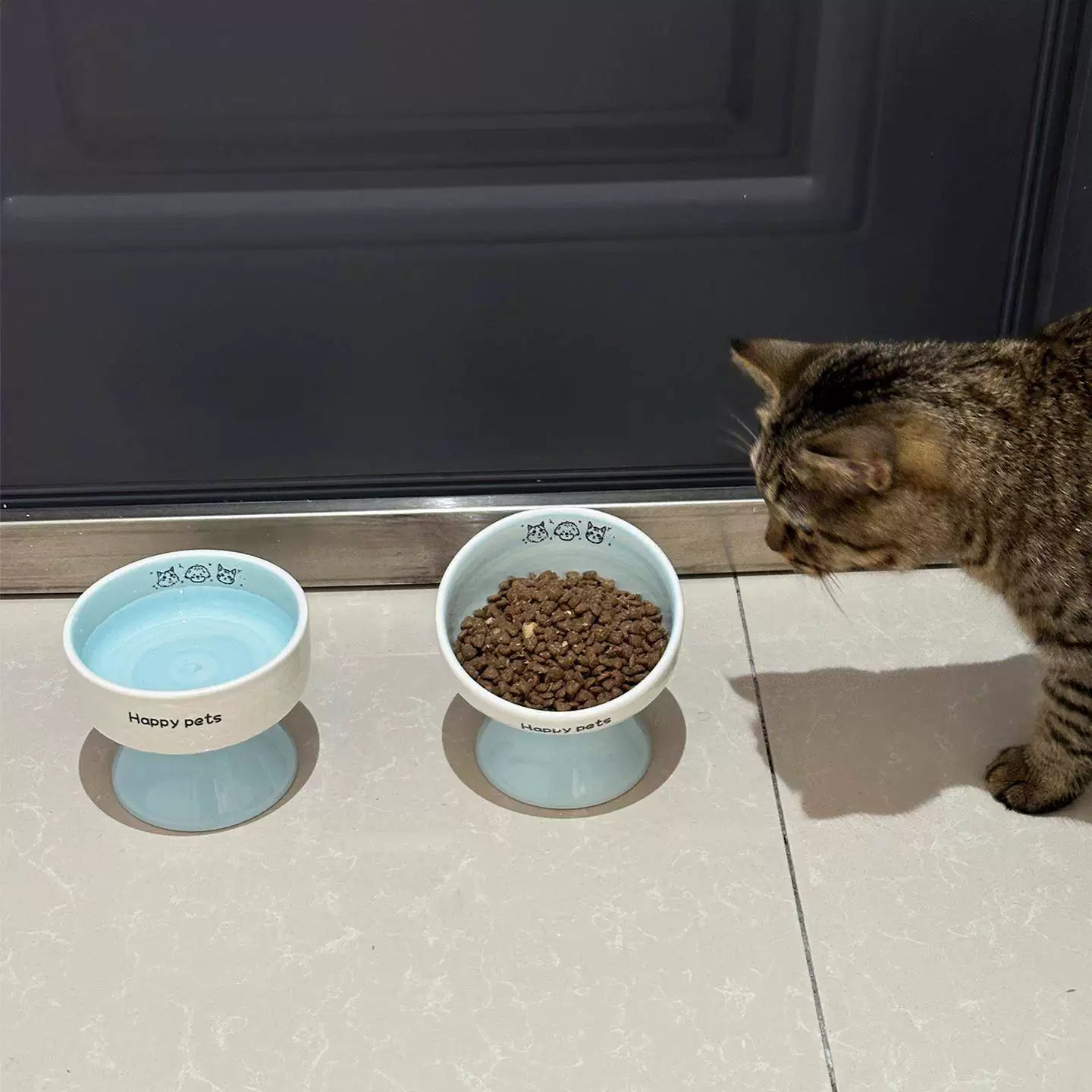 Posdma | Elevated Ceramic Pet Bowl for Daily Feeding and Drinking