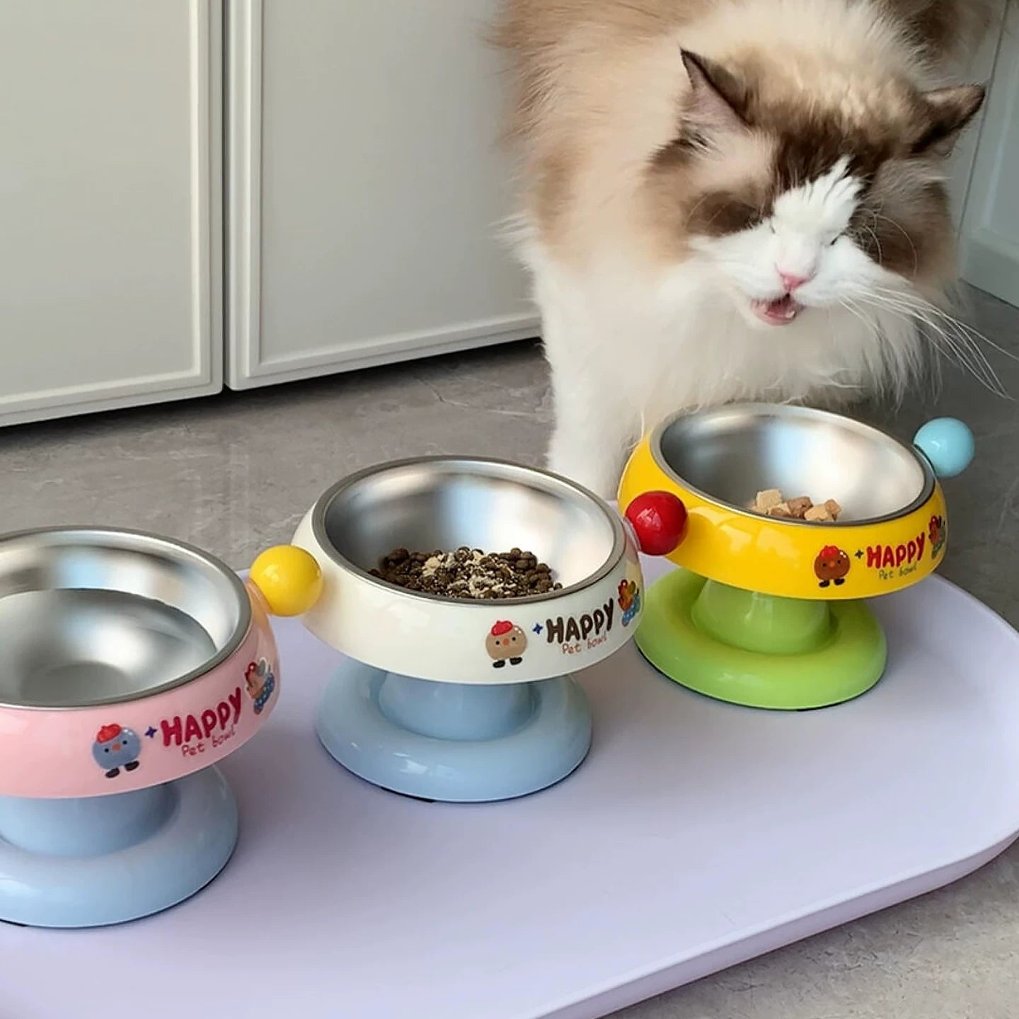 Posdma | Elevated Stainless Steel Pet Bowl for Comfortable Daily Feeding