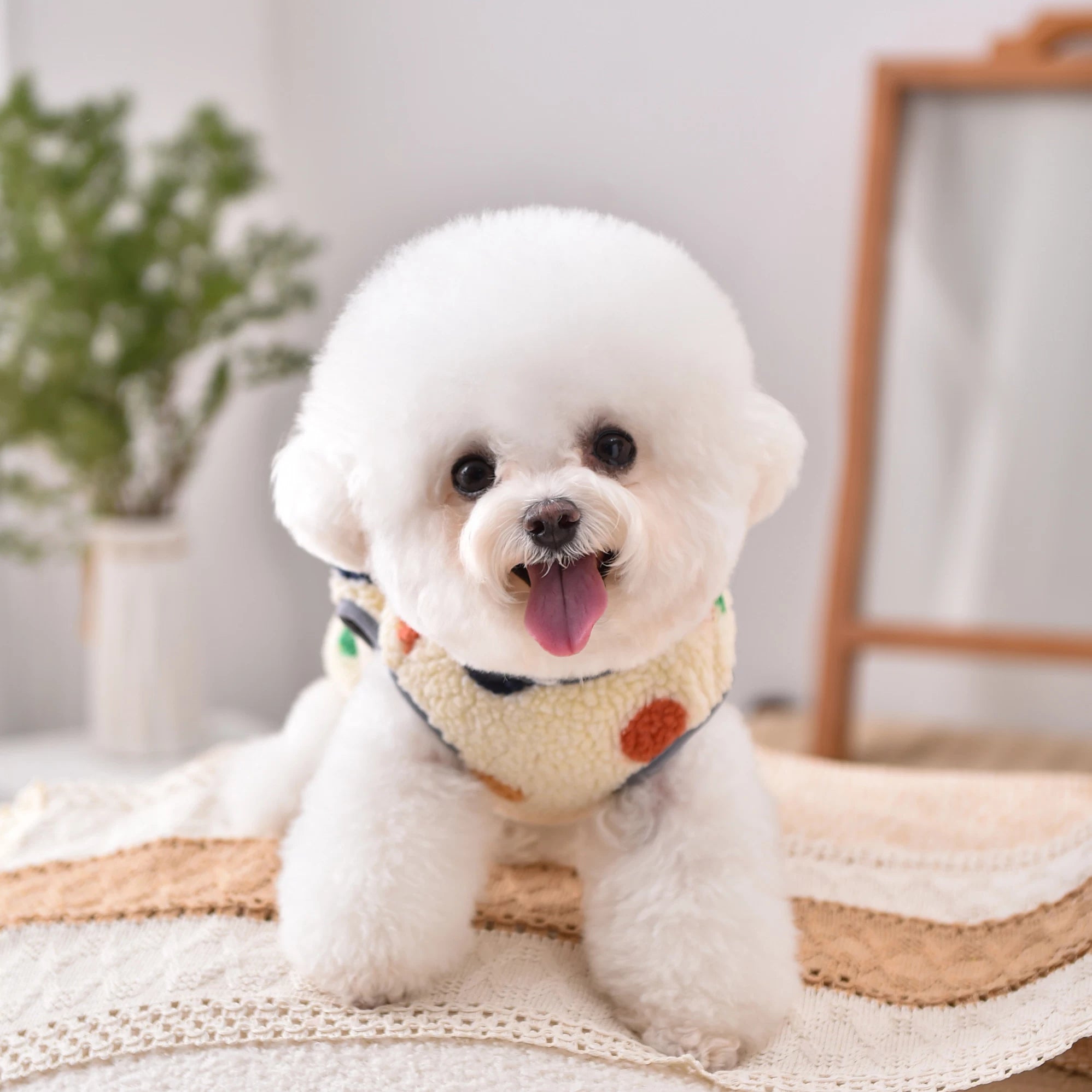 Posdma | Padded Winter Dog Vest for Small Puppies, Everyday Protective Pet Outerwear