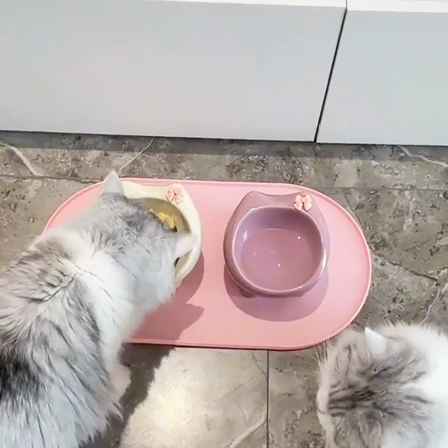 Posdma | Angled Ceramic Pet Bowl with Wide Opening for Daily Feeding